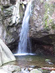 Picture_2 045